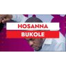 Download Hosanna Bukole by Daniel Lubams MP3